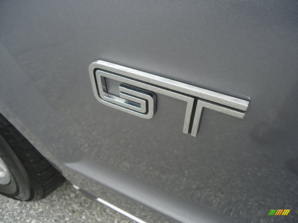 2006 Mustang GT Premium Convertible - Tungsten Grey Metallic / Light Graphite photo #10