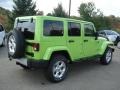 2013 Gecko Green Pearl Jeep Wrangler Unlimited Sahara 4x4  photo #6