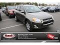 Pyrite Metallic - RAV4 Limited V6 4WD Photo No. 1