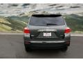 2013 Cypress Green Pearl Toyota Highlander Limited 4WD  photo #4