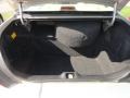 Silver Birch Metallic - Grand Marquis GS Photo No. 3