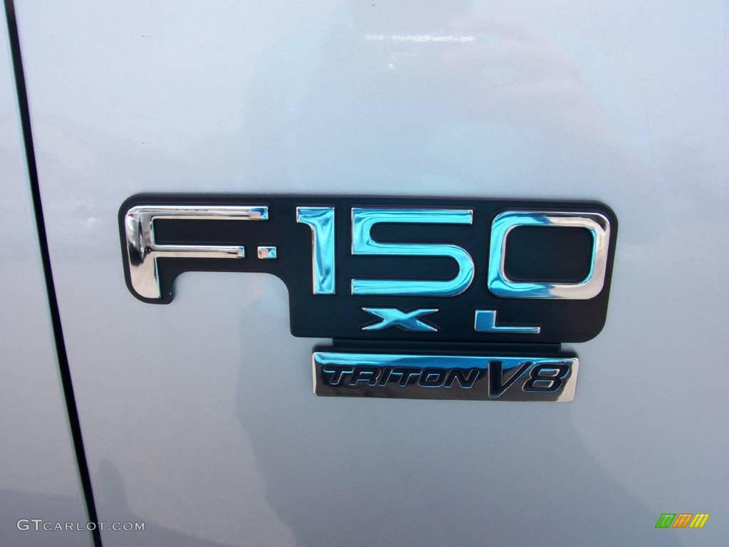 2003 F150 XL Regular Cab 4x4 - Silver Metallic / Dark Graphite Grey photo #7