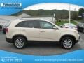 2011 White Sand Beige Kia Sorento EX  photo #6