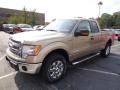 2013 Pale Adobe Metallic Ford F150 XLT SuperCab 4x4  photo #5