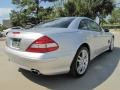 Iridium Silver Metallic - SL 550 Roadster Photo No. 10