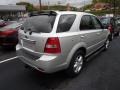 Bright Silver - Sorento LX 4x4 Photo No. 2