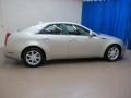 Gold Mist - CTS Sedan Photo No. 10