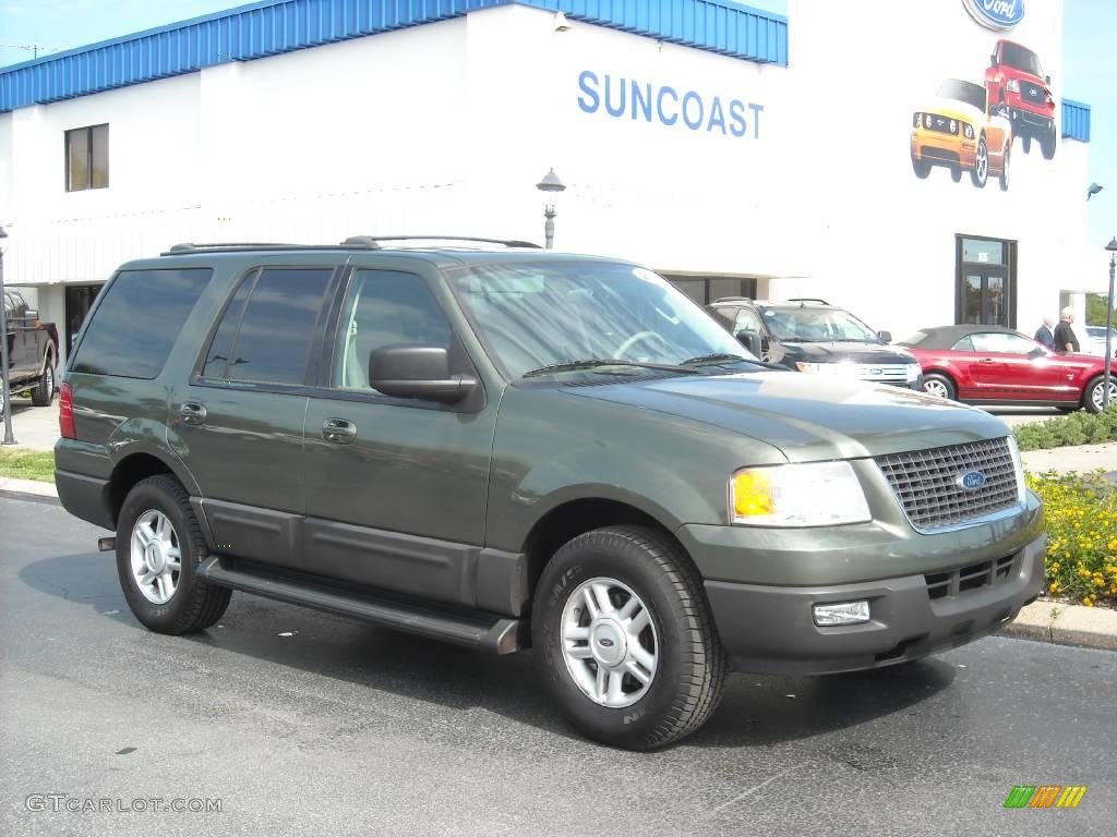 Estate Green Metallic Ford Expedition
