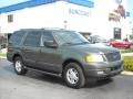 Estate Green Metallic 2004 Ford Expedition XLT