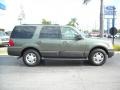 2004 Estate Green Metallic Ford Expedition XLT  photo #2