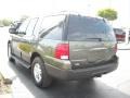 Estate Green Metallic - Expedition XLT Photo No. 5