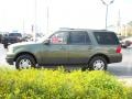 2004 Estate Green Metallic Ford Expedition XLT  photo #6