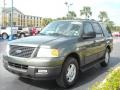 2004 Estate Green Metallic Ford Expedition XLT  photo #7