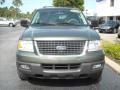 2004 Estate Green Metallic Ford Expedition XLT  photo #8