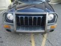 2003 Patriot Blue Pearl Jeep Liberty Sport 4x4  photo #31