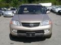 Mesa Beige Metallic - MDX  Photo No. 2