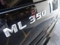 2004 Black Mercedes-Benz ML 350 4Matic  photo #33