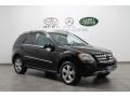 Black - ML 350 4Matic Photo No. 1