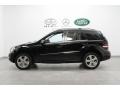 Black - ML 350 4Matic Photo No. 2