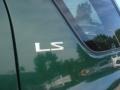 2002 Isuzu Rodeo LS Marks and Logos