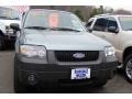 2006 Titanium Green Metallic Ford Escape XLT V6 4WD  photo #2