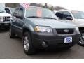 2006 Titanium Green Metallic Ford Escape XLT V6 4WD  photo #3