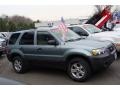 2006 Titanium Green Metallic Ford Escape XLT V6 4WD  photo #4