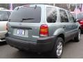 2006 Titanium Green Metallic Ford Escape XLT V6 4WD  photo #5