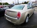 2012 Cashmere Pearl Chrysler 300   photo #5