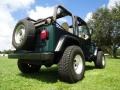 1999 Forest Green Pearlcoat Jeep Wrangler Sport 4x4  photo #11