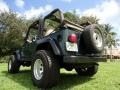 1999 Forest Green Pearlcoat Jeep Wrangler Sport 4x4  photo #13