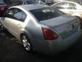Liquid Silver Metallic - Maxima 3.5 SE Photo No. 4
