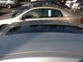 Liquid Silver Metallic - Maxima 3.5 SE Photo No. 25