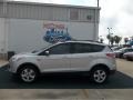 2013 Ingot Silver Metallic Ford Escape SE 1.6L EcoBoost  photo #2