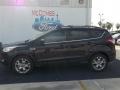 2013 Tuxedo Black Metallic Ford Escape SE 1.6L EcoBoost  photo #2