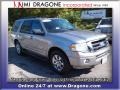 Vapor Silver Metallic - Expedition XLT 4x4 Photo No. 4