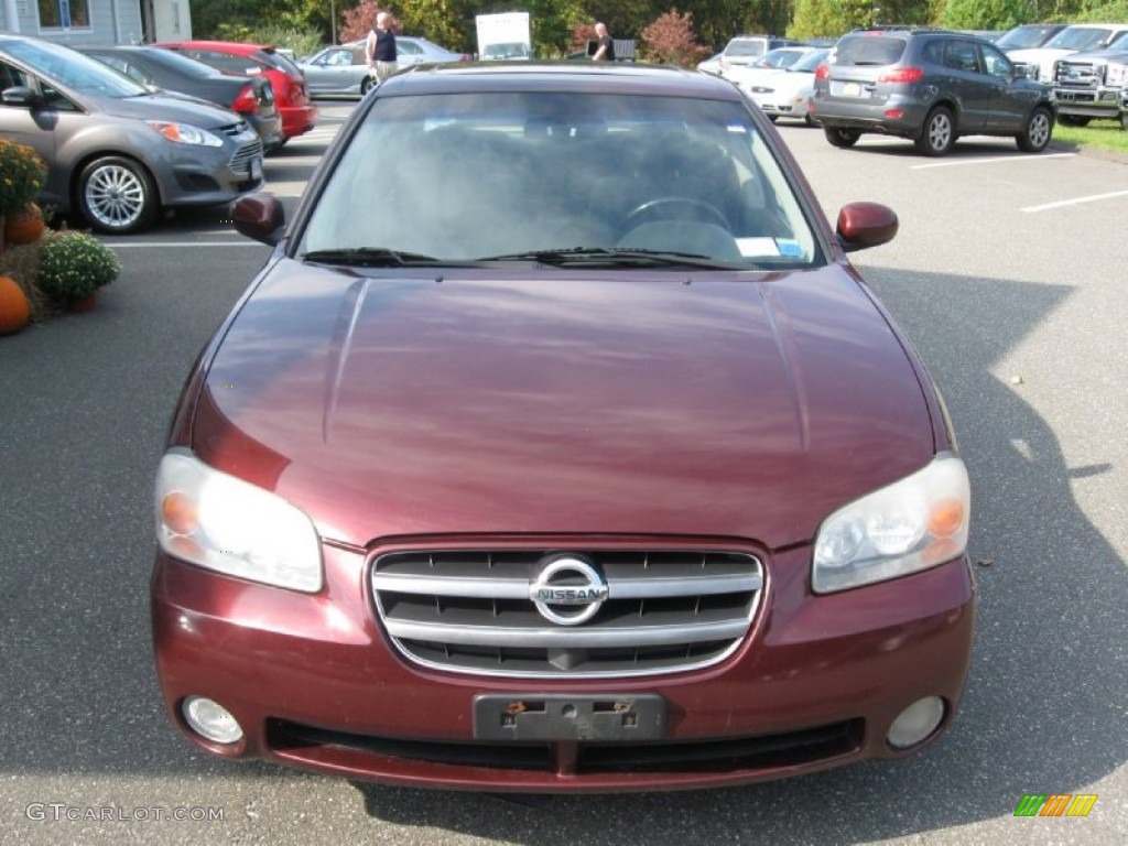 2003 Maxima SE - Merlot Red / Blond photo #2