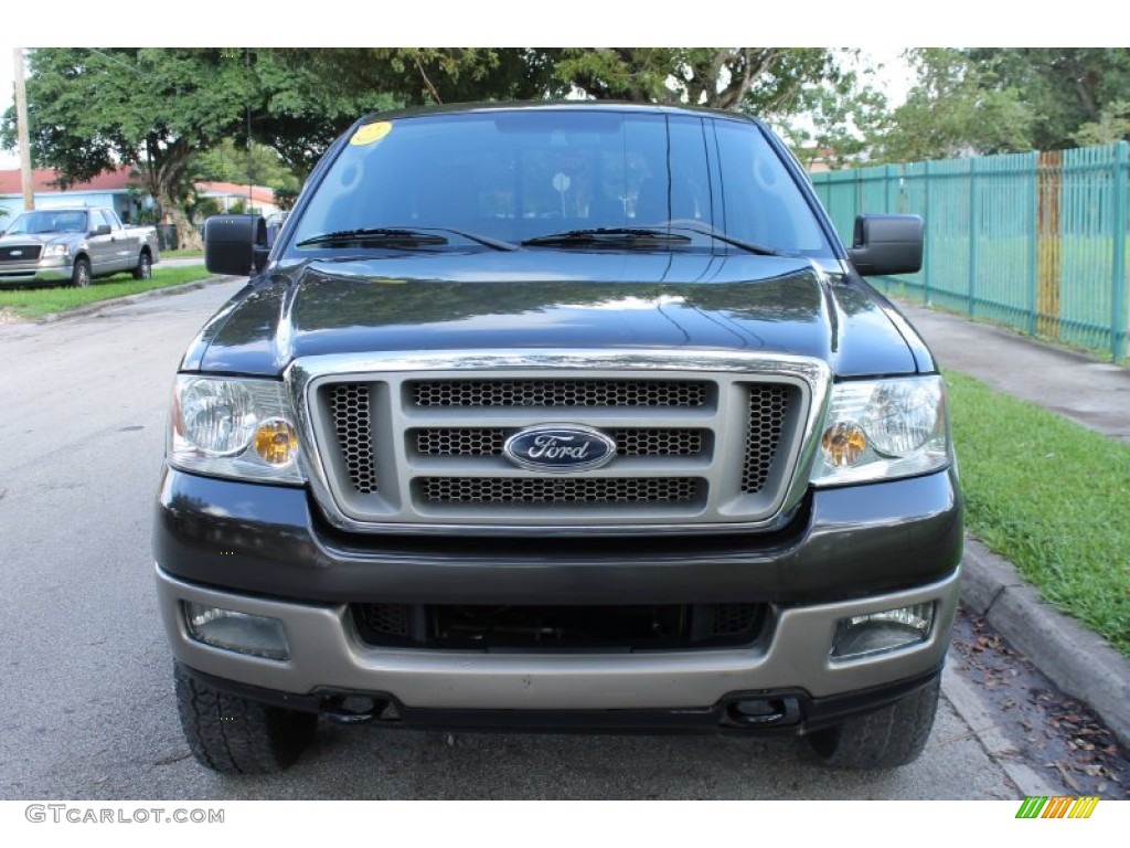 2005 F150 King Ranch SuperCrew 4x4 - Dark Stone Metallic / Castano Brown Leather photo #16