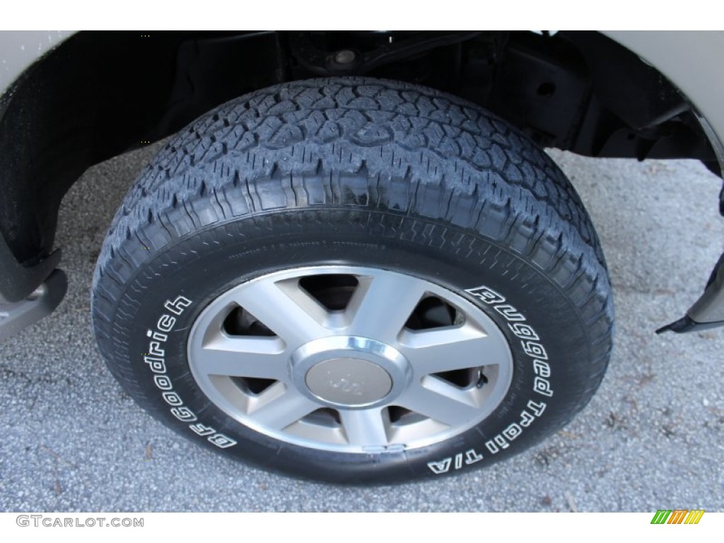 2005 F150 King Ranch SuperCrew 4x4 - Dark Stone Metallic / Castano Brown Leather photo #46