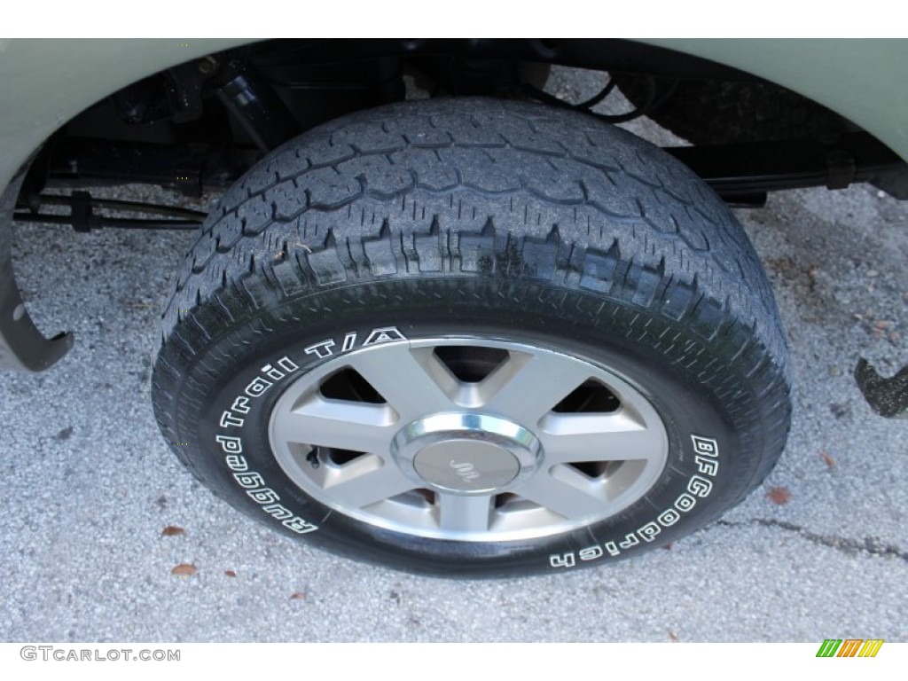 2005 F150 King Ranch SuperCrew 4x4 - Dark Stone Metallic / Castano Brown Leather photo #48