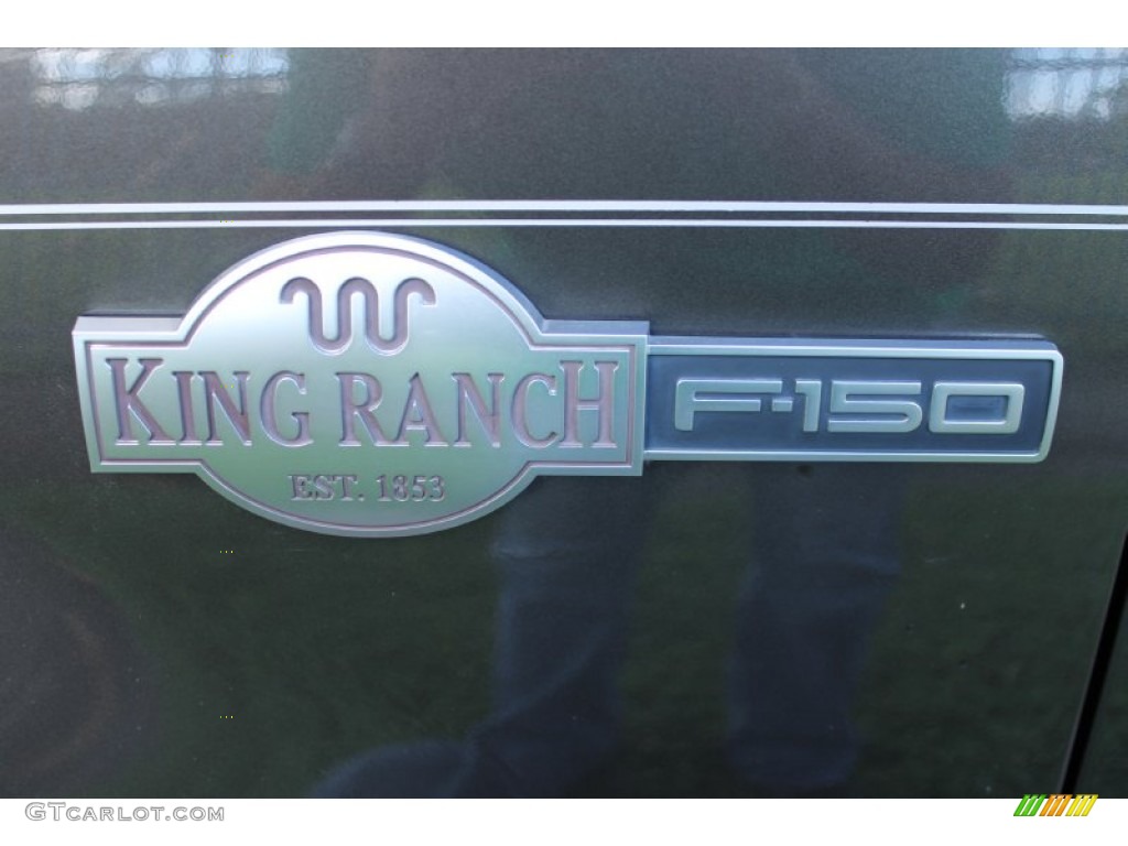 2005 F150 King Ranch SuperCrew 4x4 - Dark Stone Metallic / Castano Brown Leather photo #49