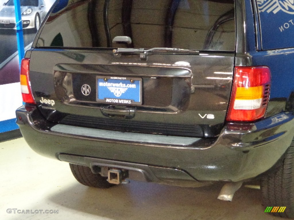 2002 Grand Cherokee Limited 4x4 - Black / Dark Slate Gray photo #9