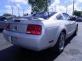 2006 Satin Silver Metallic Ford Mustang V6 Premium Coupe  photo #18