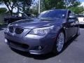 Platinum Grey Metallic - 5 Series 550i Sedan Photo No. 11