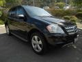 Black - ML 350 Photo No. 1