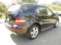 Black - ML 350 Photo No. 3