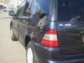 Azure Blue Metallic - ML 320 4Matic Photo No. 30
