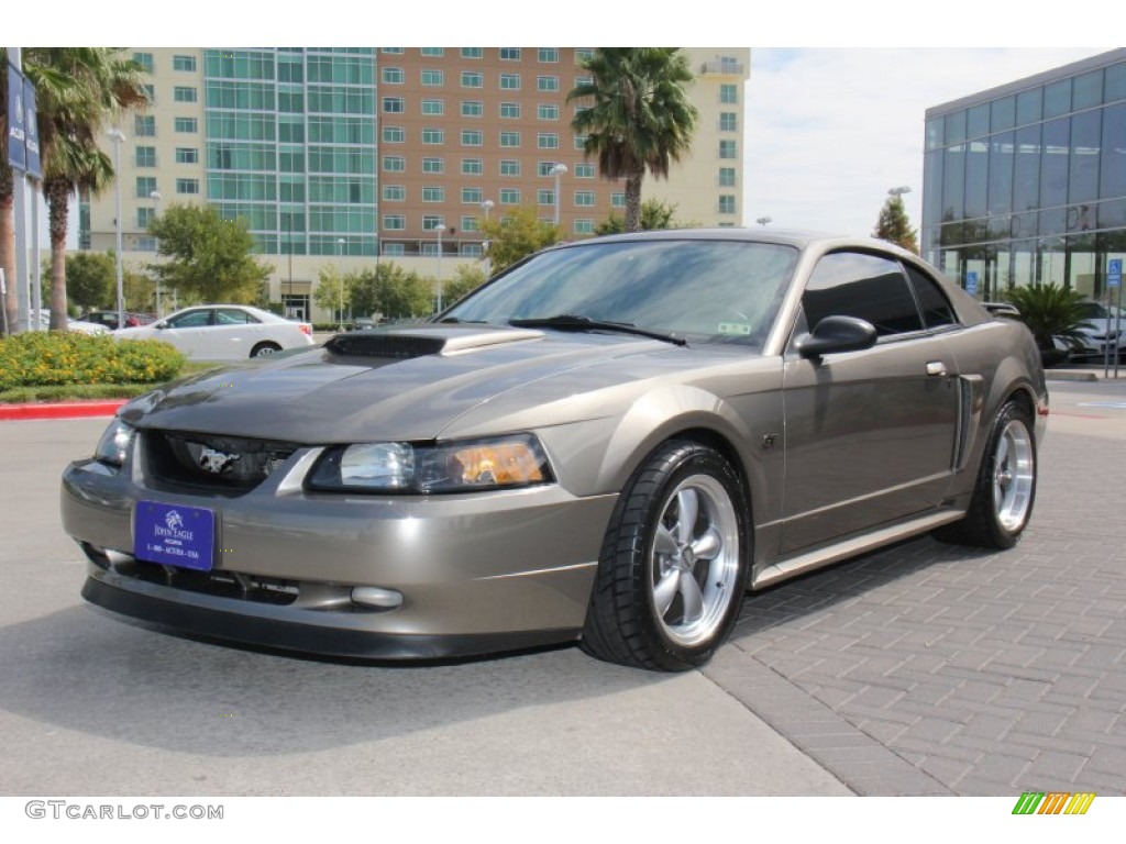 2001 Mustang GT Coupe - Mineral Grey Metallic / Dark Charcoal photo #2