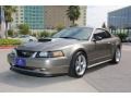 2001 Mineral Grey Metallic Ford Mustang GT Coupe  photo #2