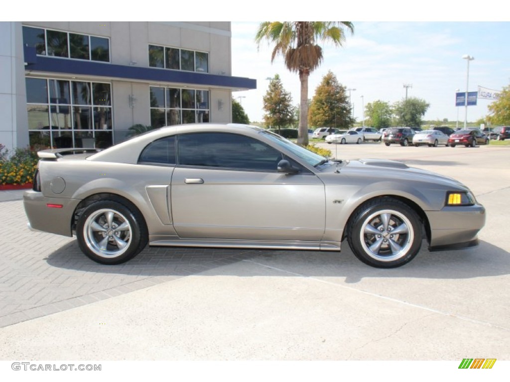 2001 Mustang GT Coupe - Mineral Grey Metallic / Dark Charcoal photo #6